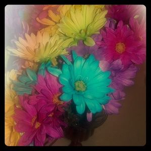 Meet your Posher, Coretta